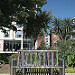 			  Team Cubik  posted a photo: 
	
     

 This gorgeous chair and tropical trees are on Millennium Square. 